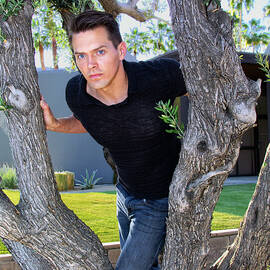 THE LEANING TREE Palm Springs CA  by William Dey