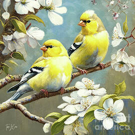 The Lovely Goldfinches by Tina LeCour