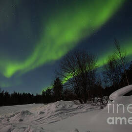 The Magic of the Northern Lights by Eva Lechner