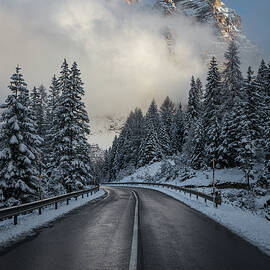 The majestic road by Yuri Santin