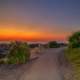 The Morning Sky by Penny Polakoff