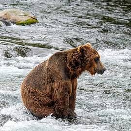 The Patient Fisherman by Jennifer Jenson