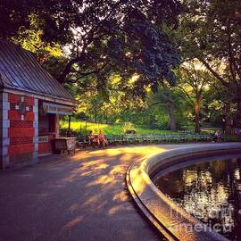 The Pond at Sunset - Central Park New York by Miriam Danar
