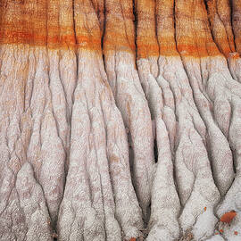 The power of rain water creates these eroded hill patterns in the badlands of the North Unit. by Larry Geddis