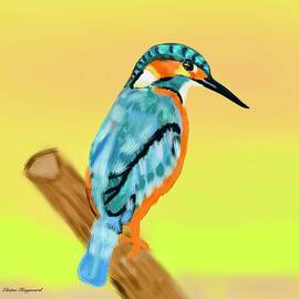 The regal kingfisher  by Elaine Hayward