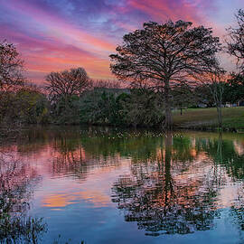 The Start of a New Year at Cibolo Creek by Lynn Bauer