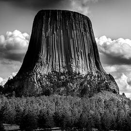 The Tower by Bryan Moore