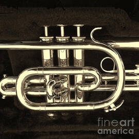 The Trumpet in sepia by Paul Ward