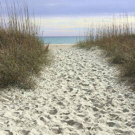 The Walk to Atlantic Beach by Mary Deal