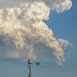 The Weather Station by Jim Garrison