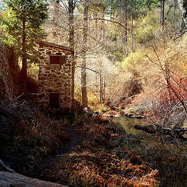 The Weir At Palomar Mountain by Glenn McCarthy Art and Photography