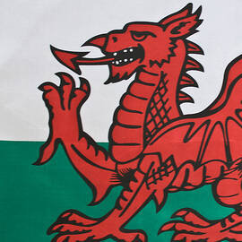 The Welsh Dragon Rises by Steve Purnell