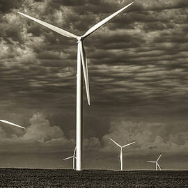 The Wind Farm