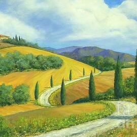 The Winding Road by Michael Swanson