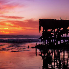 The Wreck of the Peter Iredale by Dianne Milliard
