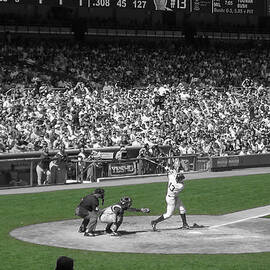 The Yankees at Yankee Stadium