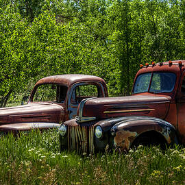 These Old Trucks by Brenda D Busskohl