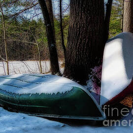 Thoughts Of Spring by Scott Loring Davis