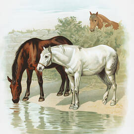 Three Horses Vintage Art Painting, Horse by MOUNIR KHALFOUF
