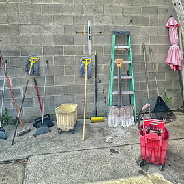 Three Mops by Andrew Wohl