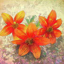 Three Orange Flowers One by Mo Barton