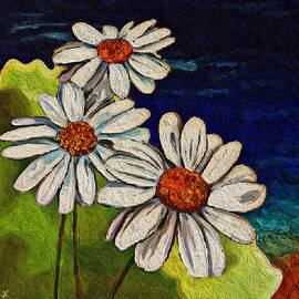Three Sisters - Daisies by Anas Afash