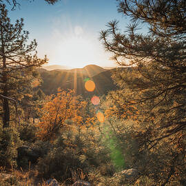Sunset Jigsaw Puzzles for Sale