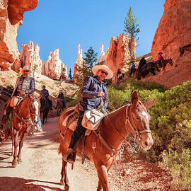 Through the Canyon on Horseback by Viv Thompson