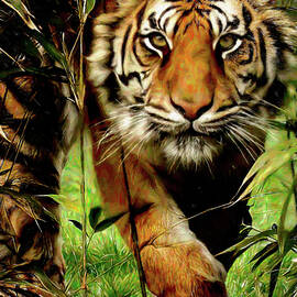  Tiger Panthera Tigris in Tall Grass Painting by John Straton