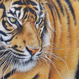 Tigerscape by Elena Kolotusha
