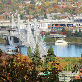 Tilikum Crossing Vital Transportation Link by Kelley Burnes