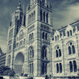 Timeless Majesty by Raymond Hill