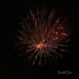 Tinsel Firework by Beverly M Collins