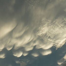 Tiny Airplane Beneath a Huge Mammatus Cloud by Georgia Mizuleva