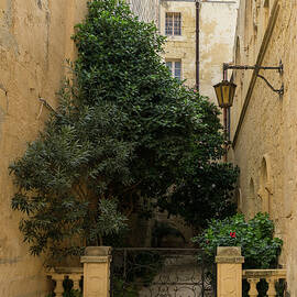 Tiny Walled Garden - Gallivanting Around Mdina the Silent City in Gozo Malta by Georgia Mizuleva