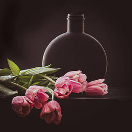 To Sleep, Perchance to Dream  by Maggie Terlecki