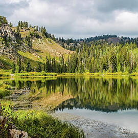 Tony Grove on the Uinta-Wasatch-Cache National Forest by Mango Art