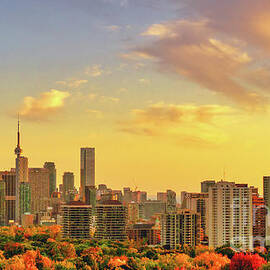 Toronto Autumn Cityscape 2020 by Charline Xia