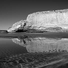 Torrey Pines Contrasts in Monochrome by William Dunigan