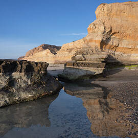 Torrey Pines Sunny Reflection by William Dunigan