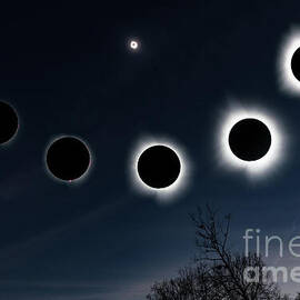 Total Solar Eclipse Corona Stages by Jennifer White
