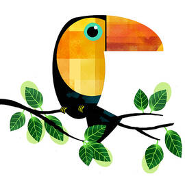 Toucan on Tree Branch  by Andrew Hitchen