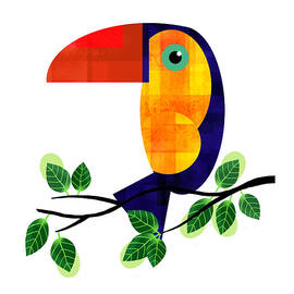Toucan Perched On Branch by Andrew Hitchen