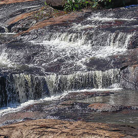 Towaliga River Levels by Ed Williams