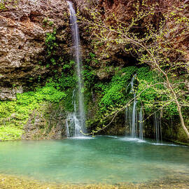 Towering Dripping Springs Waterfall Vertical