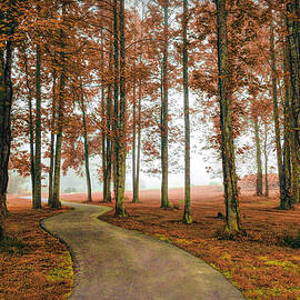 Trail into the Autumn Fog by Debra and Dave Vanderlaan