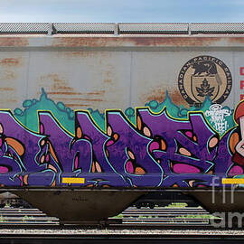 Train Graffiti Saskatchewan 5 by Bob Christopher