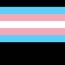 Transgender Pride Flag by Flippin Sweet Gear