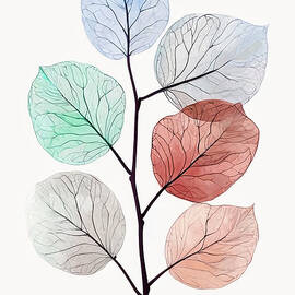 Translucent leaves by Manjik Pictures