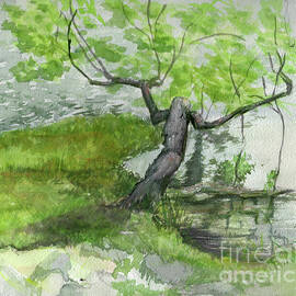Tree Down in the Water by Janet Felts